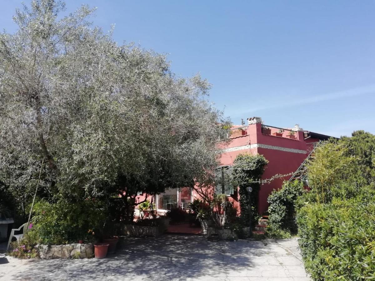 Il Vecchio Lentisco Apartment Алгеро Екстериор снимка
